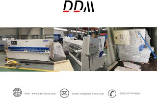 DDM-QC12K 6X3200 Guillotine shearing machine to Egypt